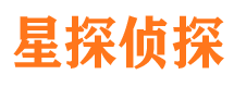 平江侦探调查公司